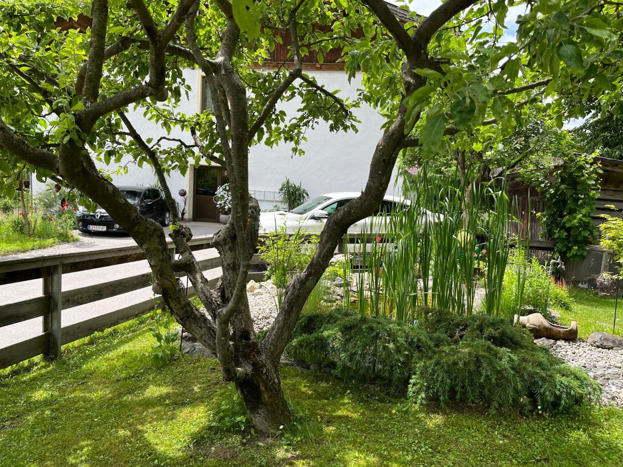 Bergmanns Ferienapartment Debant Dış mekan fotoğraf